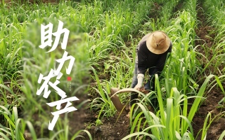 农产品反向开票政策解读